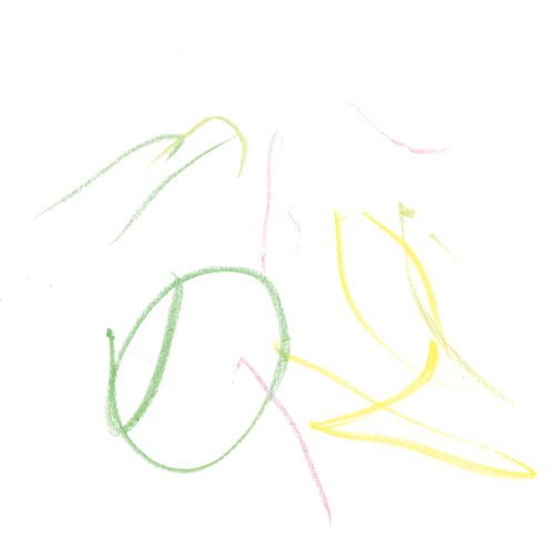 夏のお花