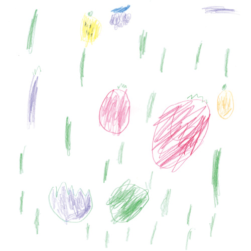 夏の野菜と果物