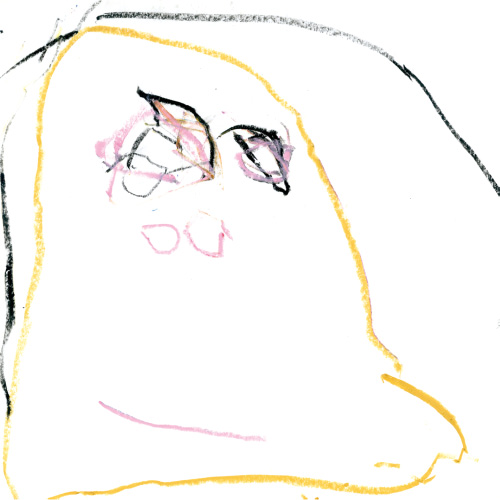 たーたん