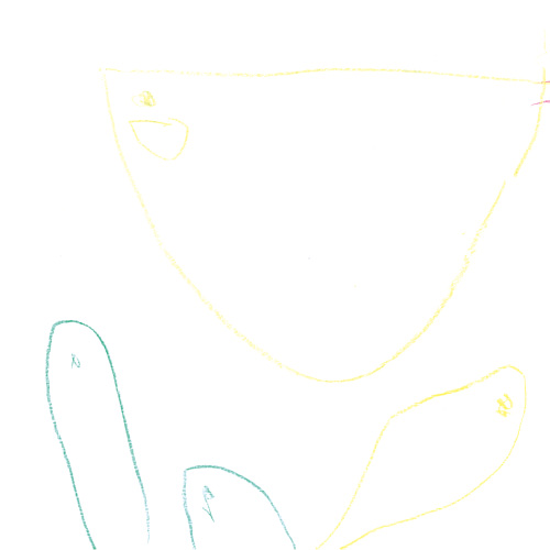 おさかなとちんあなご