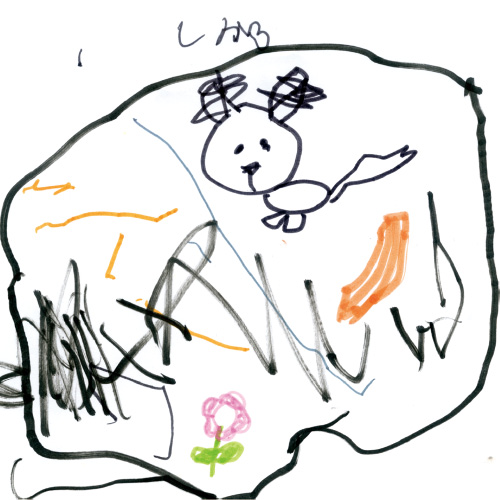 しかさんがみたい