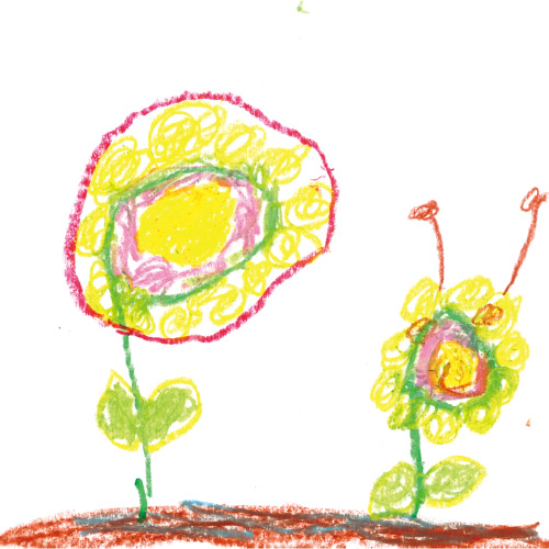 おもいでの花