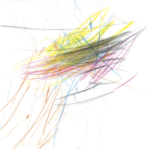 なかよしのネコちゃん