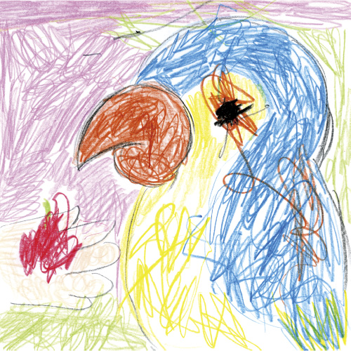 インコのアポロちゃん