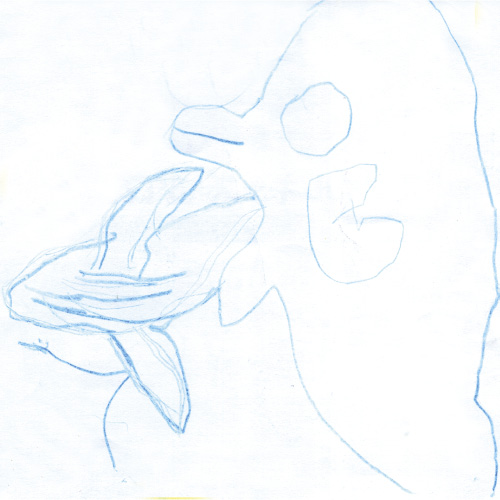 くじらといるか