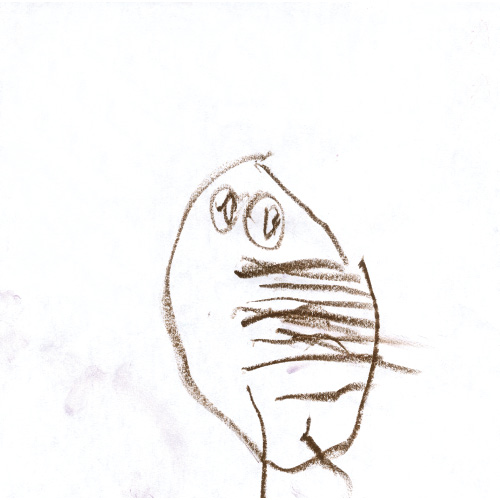 レッサーパンダ