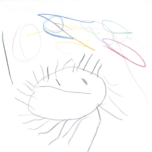 まっくろくろすけ