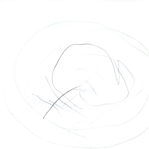 ヨーヨーつり、すべり台、スーパーボールすくい