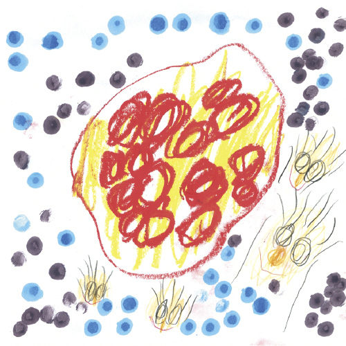 かあちゃんのたんじょうび