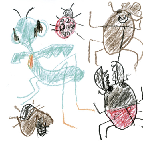 むしとり大好き