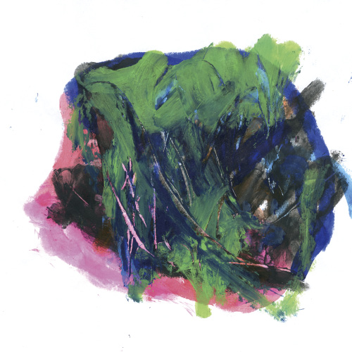 おっきいブドウ