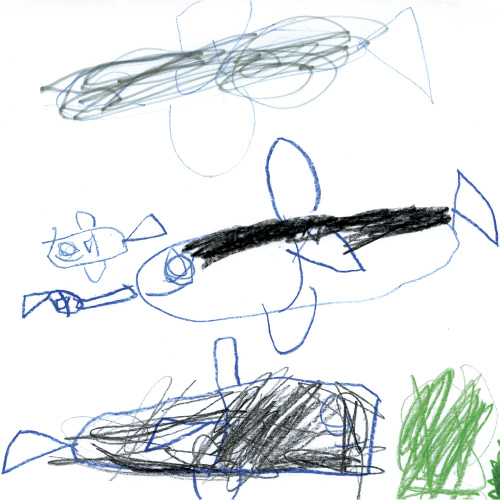 だいすきなうみのいきもの