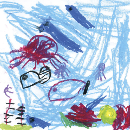 海のなかまたち