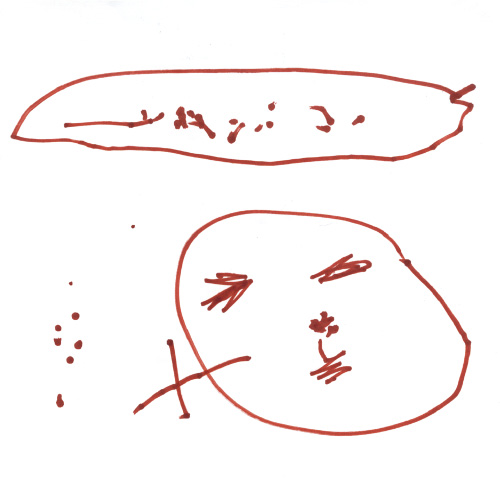 ルンバときゅうり