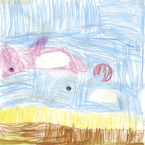 イルカのキャッチボール