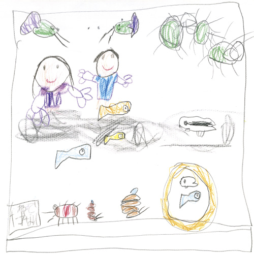 メダカのすいそう