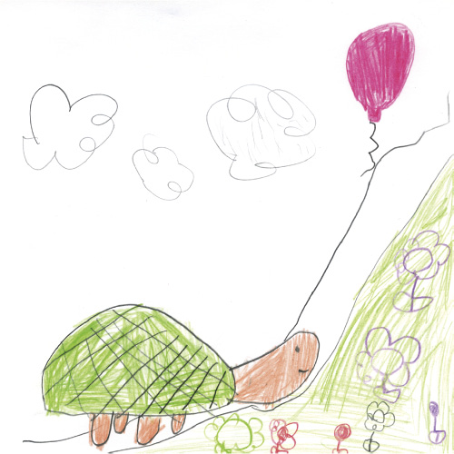 のんびりかめさん