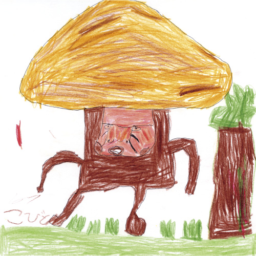 オオカサデッカチ