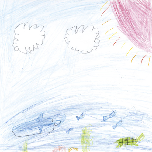 あつまれ　うみのなかまたち