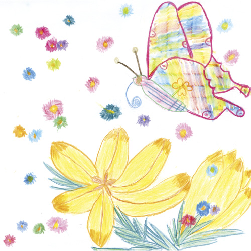 お花にとんでくるキレイなちょうちょ