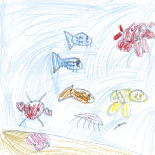 うみのさかなたち
