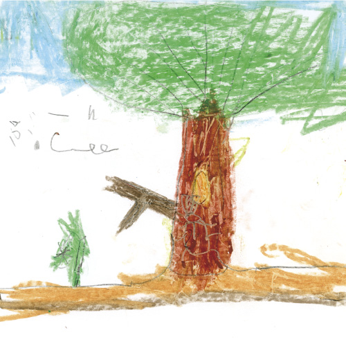 自然を楽しもう