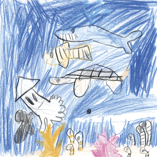 うみのすいぞくかん