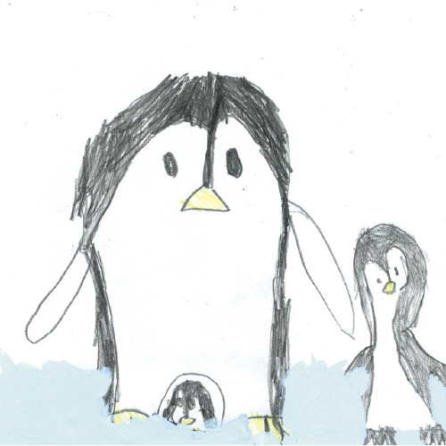 アデリーペンギンの2わめのあかちゃんがうまれた