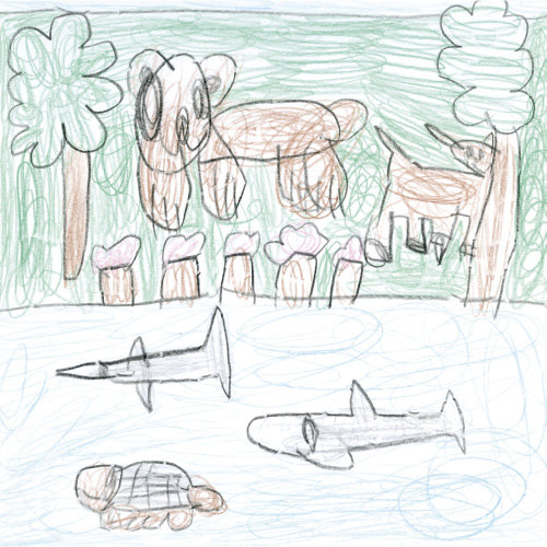 もりとかわのいきものたち