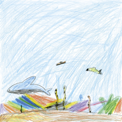 うみのぼうけん