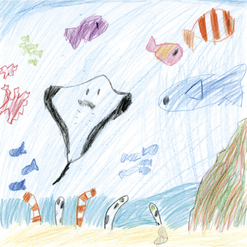 きれいなうみのせかい