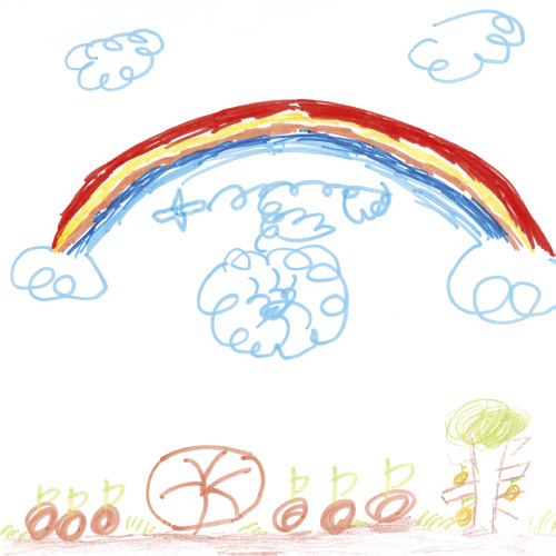 みかんのくもはっけん