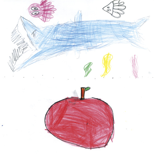 海の生き物とりんご