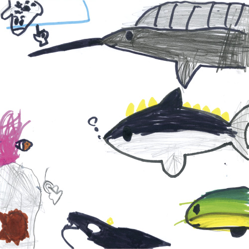 海の生き物たち