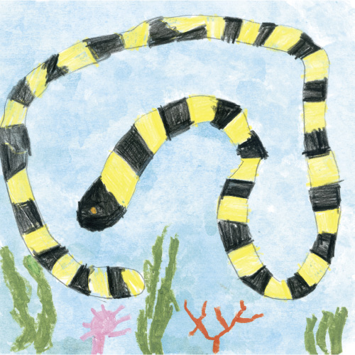 海の中の生き物