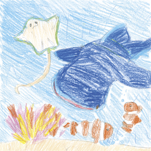 きれいな海（うみ）