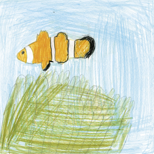 だいすき　ニモ