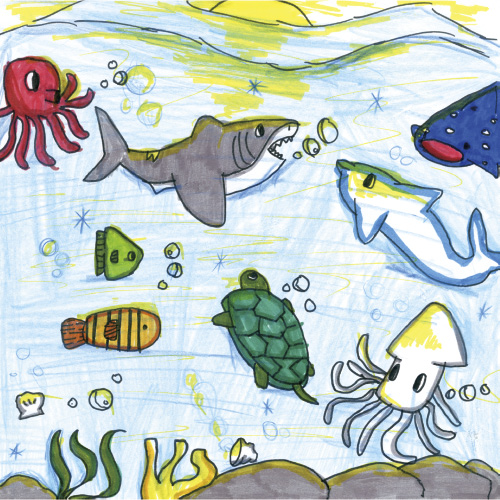 海の生き物大好き！