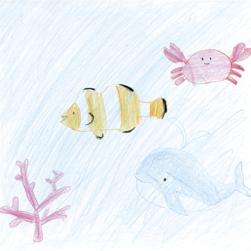 海の生きものたち