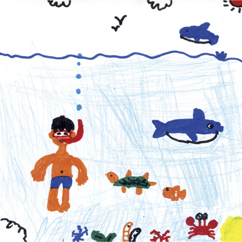 うつくしい海!!