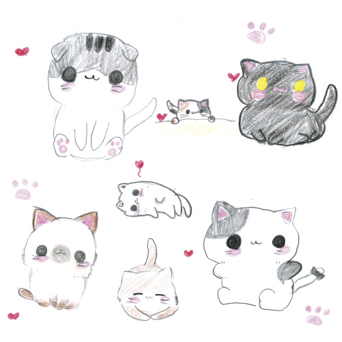 ニャンニャンパラダイス