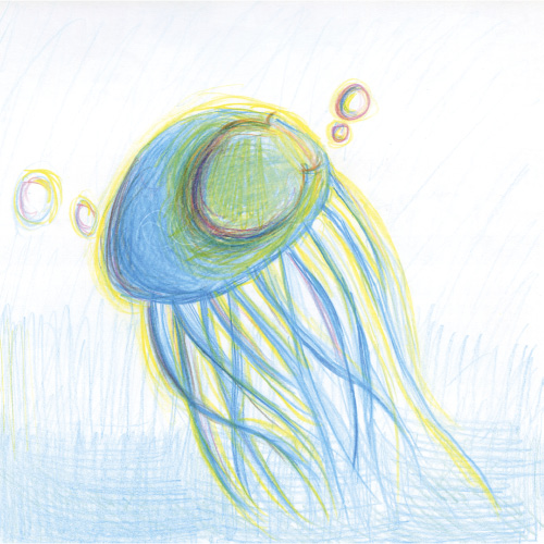 海をおよぐクラゲ