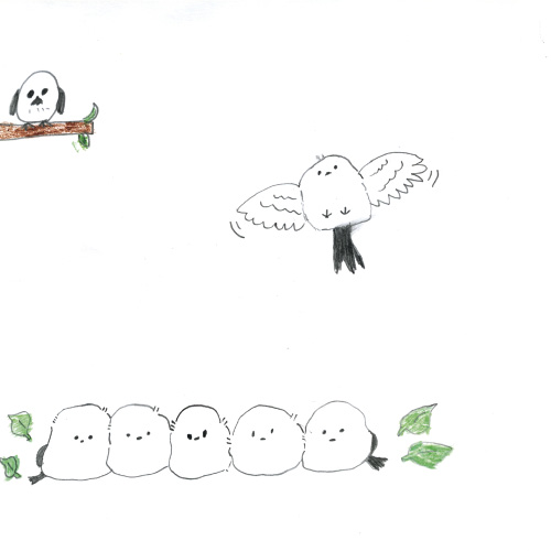 シマエナガの楽園