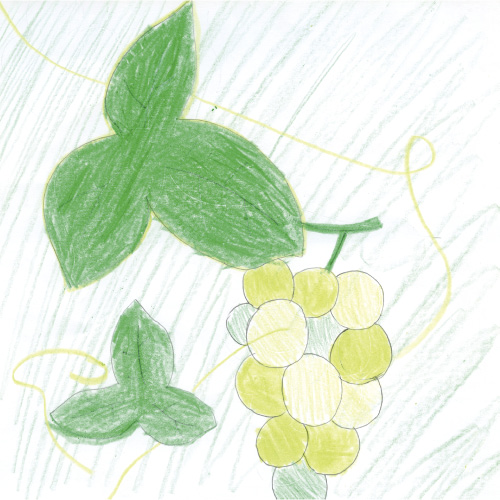 おいしいシャインマスカット